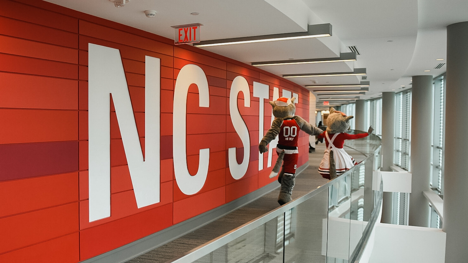 Mr. Wuf and Ms. Wuf take a walk by the red NC State wall in Talley Student Union.