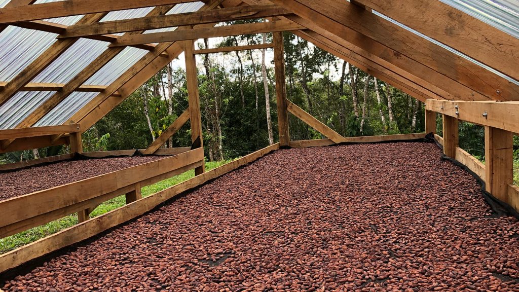 A cacao roasting rack on a farm in Belize