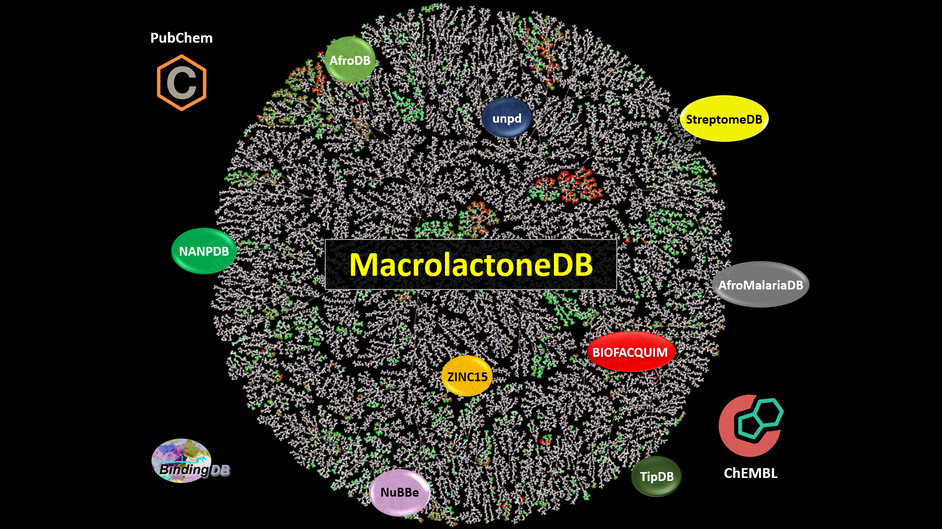 macrolactone database