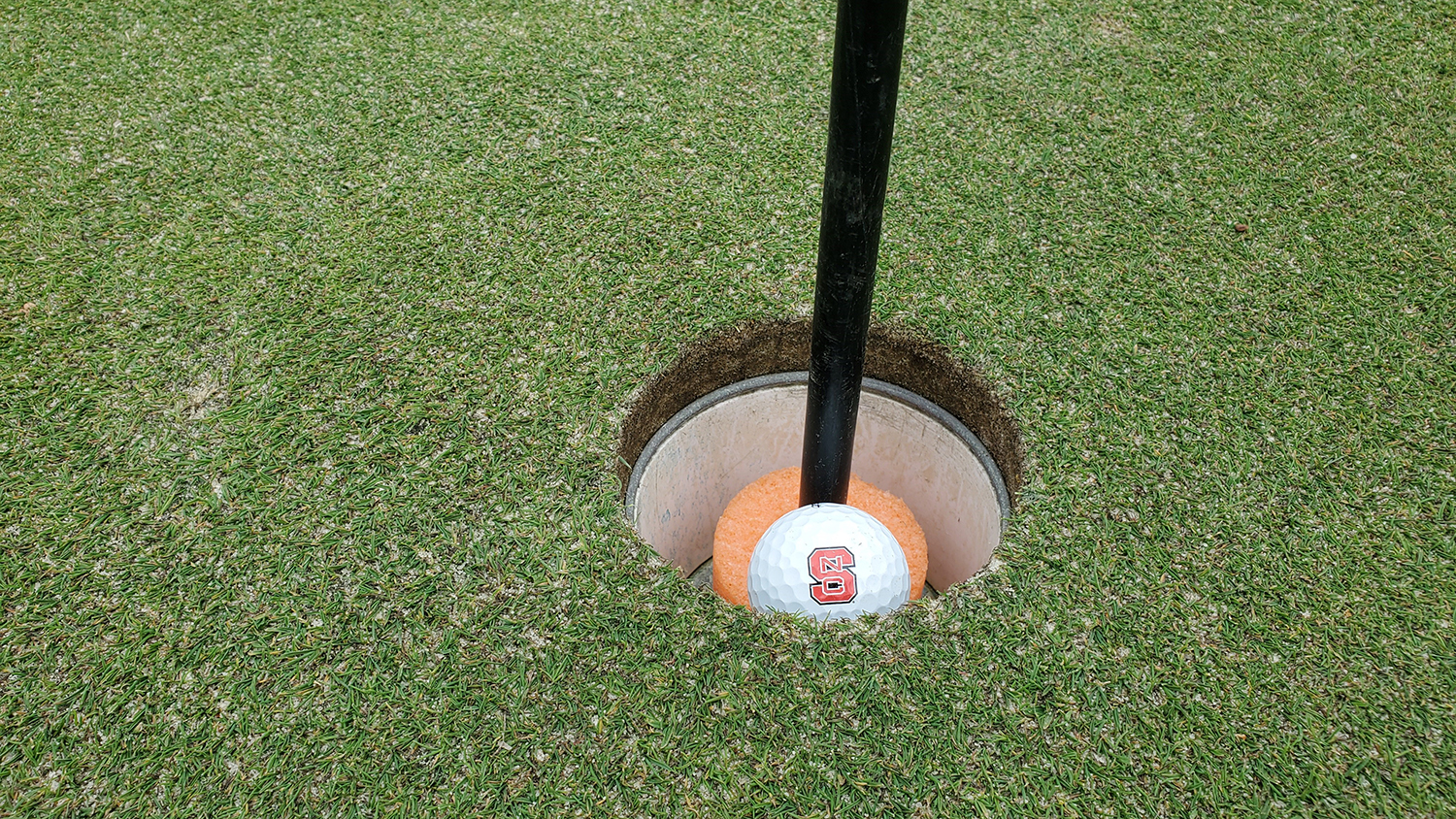 Golf ball inside a hole on the Lonnie Poole Golf Course.