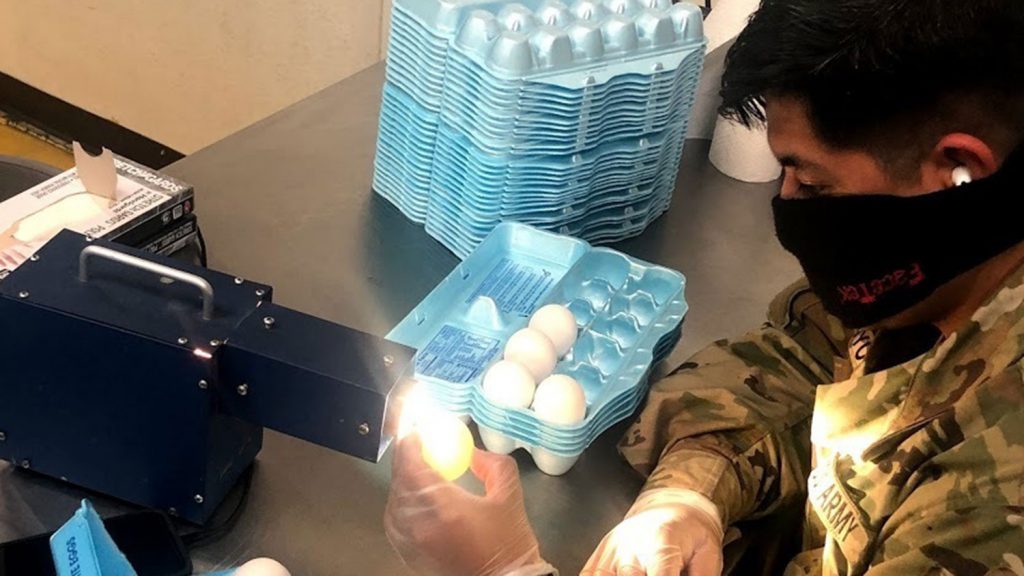 Man candling an egg