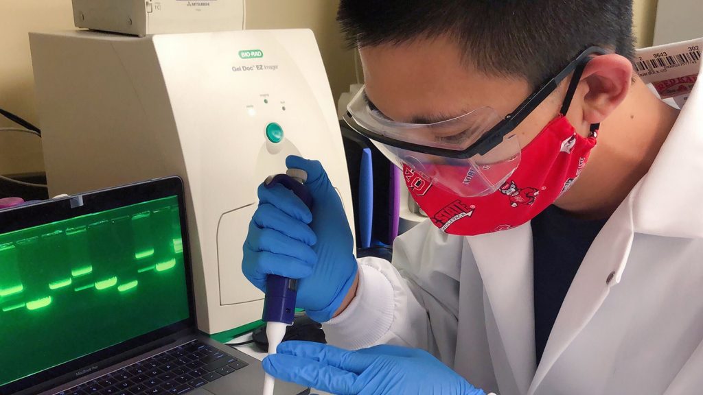 Zhongtian Zhang uses lab equipment to analyze the components of Sery-CRISPR