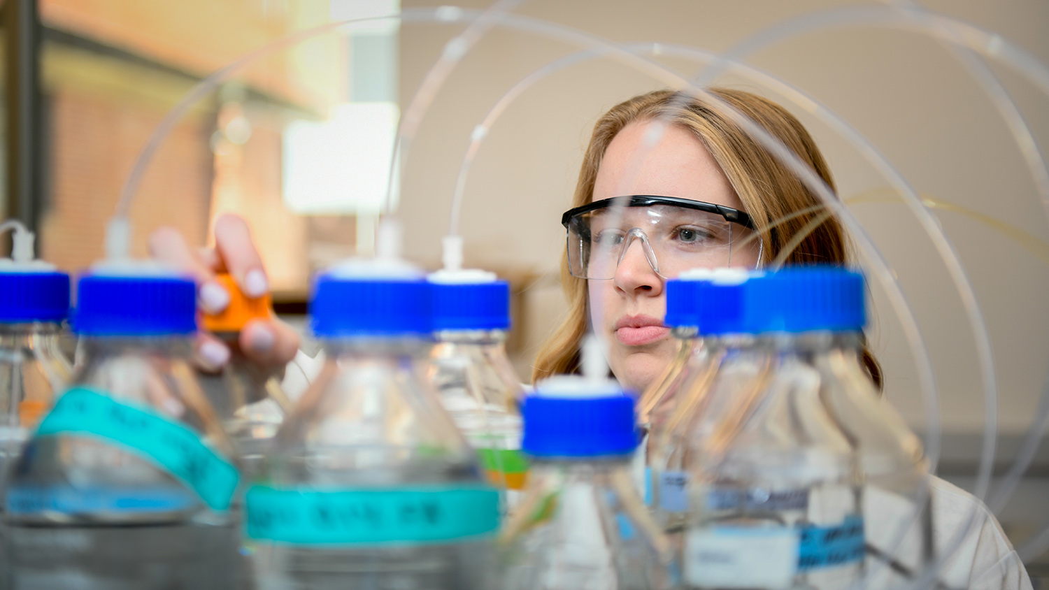 Graduate student Kaylie Kirkwood works in the Pierce lab, with bottles and tubes in the foreground