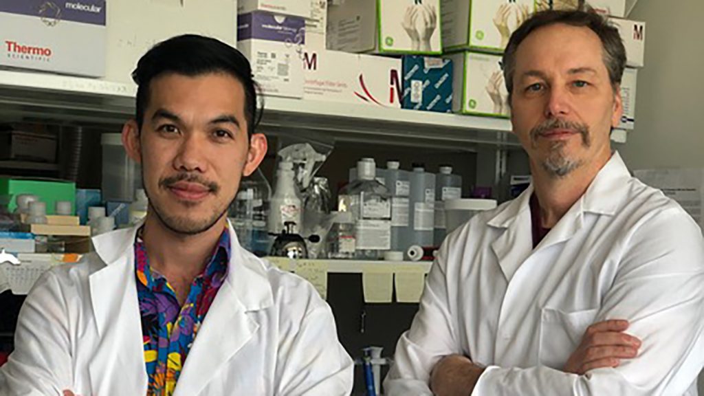 Thom LaBean and postdoc Abhichart Krissanaprasit stand in their lab wearing white lab coats.