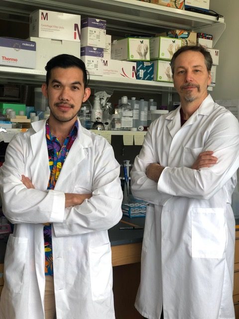 Thom LaBean and postdoc Abhichart Krissanaprasit stand in their lab wearing white lab coats.