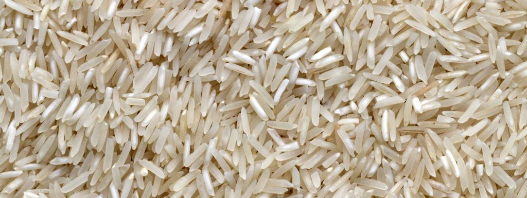 grains of rice