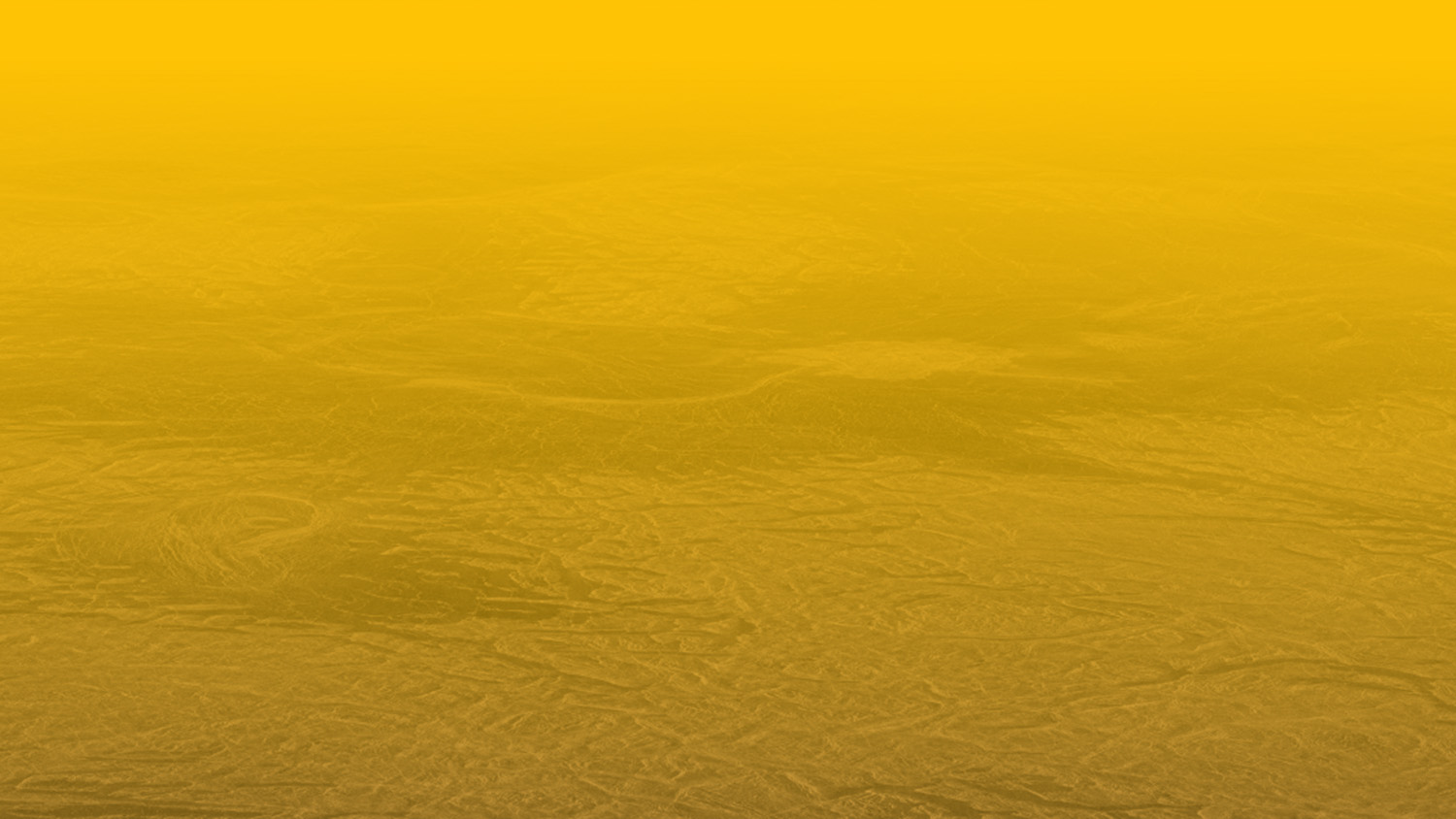 The region looks like a yellow desert 