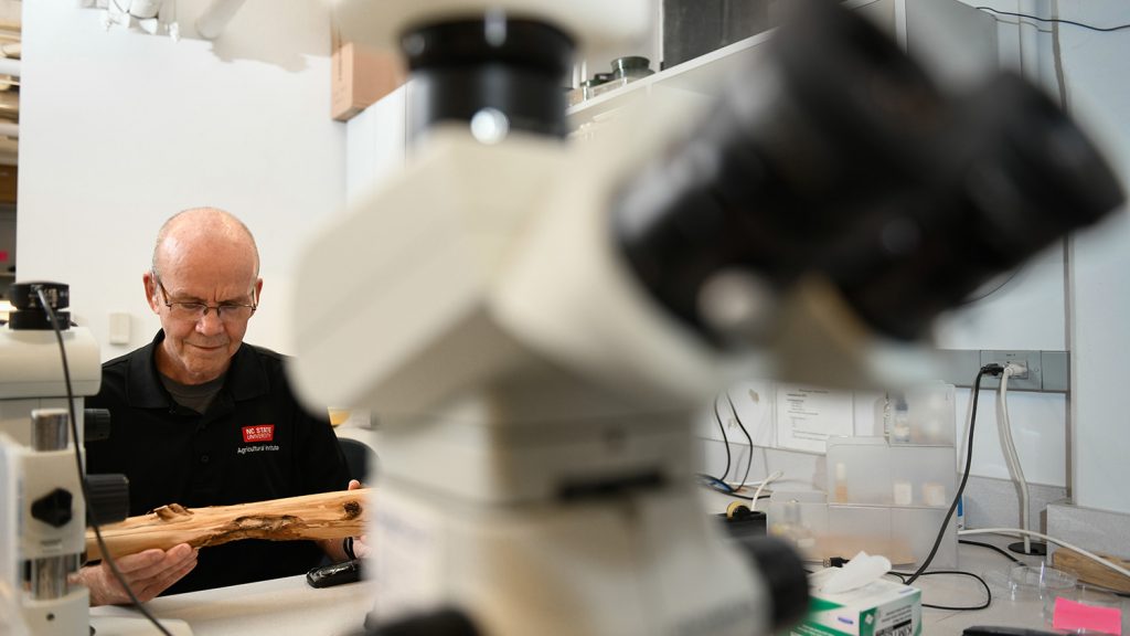 Professor Waldvogel sits at a microscope in his lab.