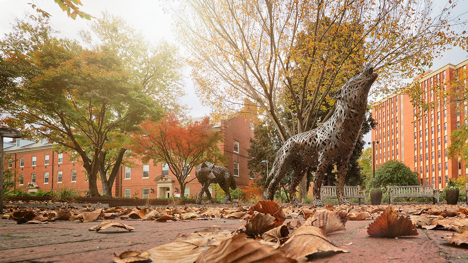 Students enjoy a fall day by the copper wolves in Wolf Plaza on main campus.