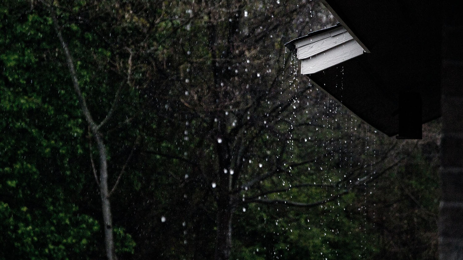 rain running off of a roof