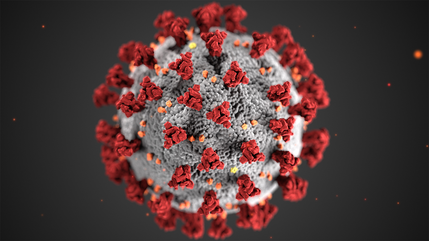 A graphic shows the ultrastructural morphology exhibited by coronaviruses. Graphic by the CDC.