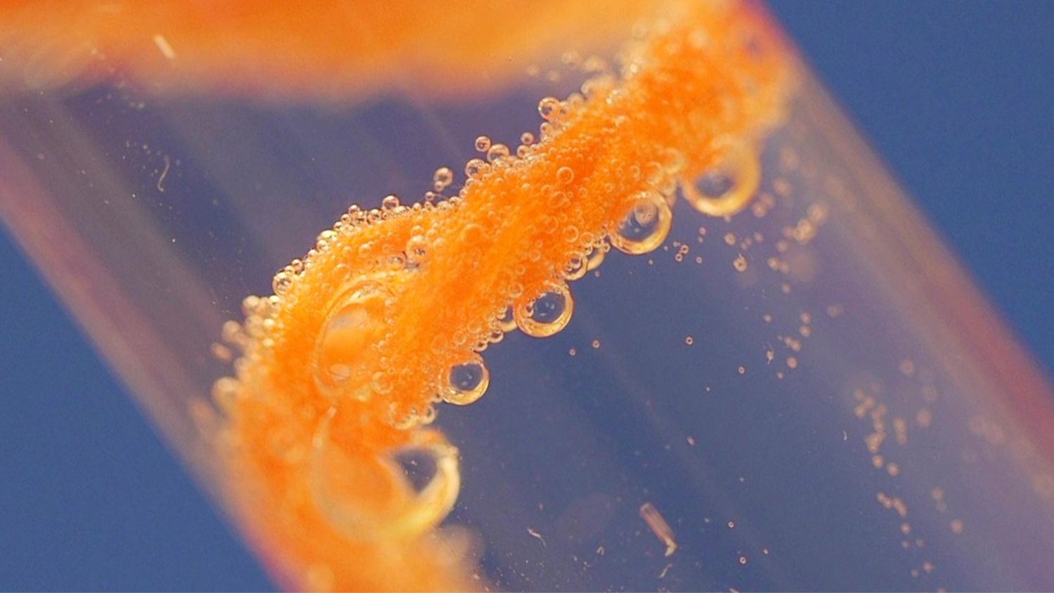 Orange biocatalytic yarn with oxygen bubbles