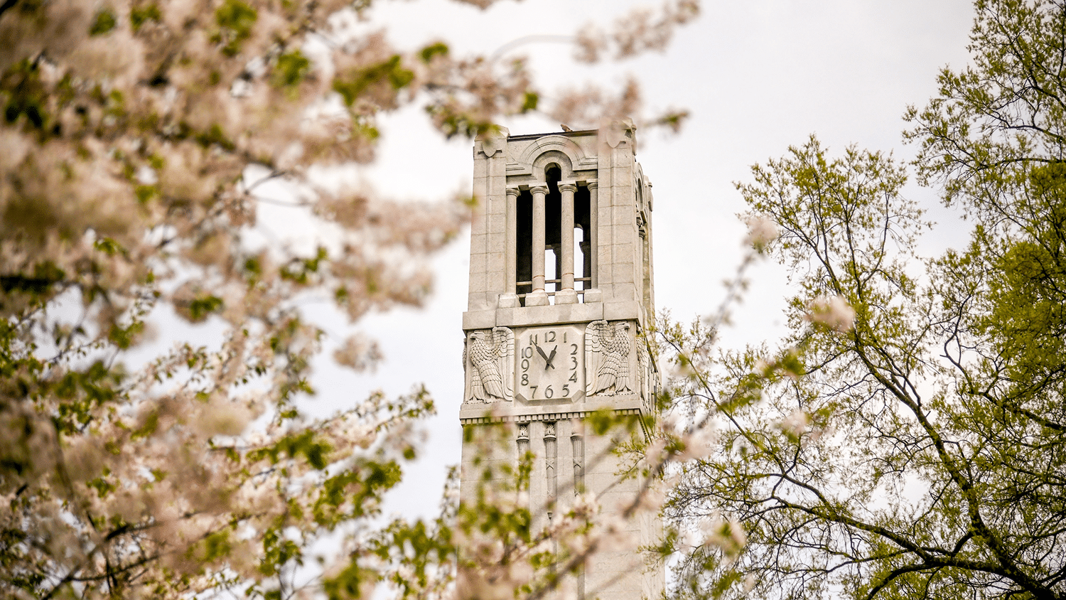 The Memorial Belltower in the spring