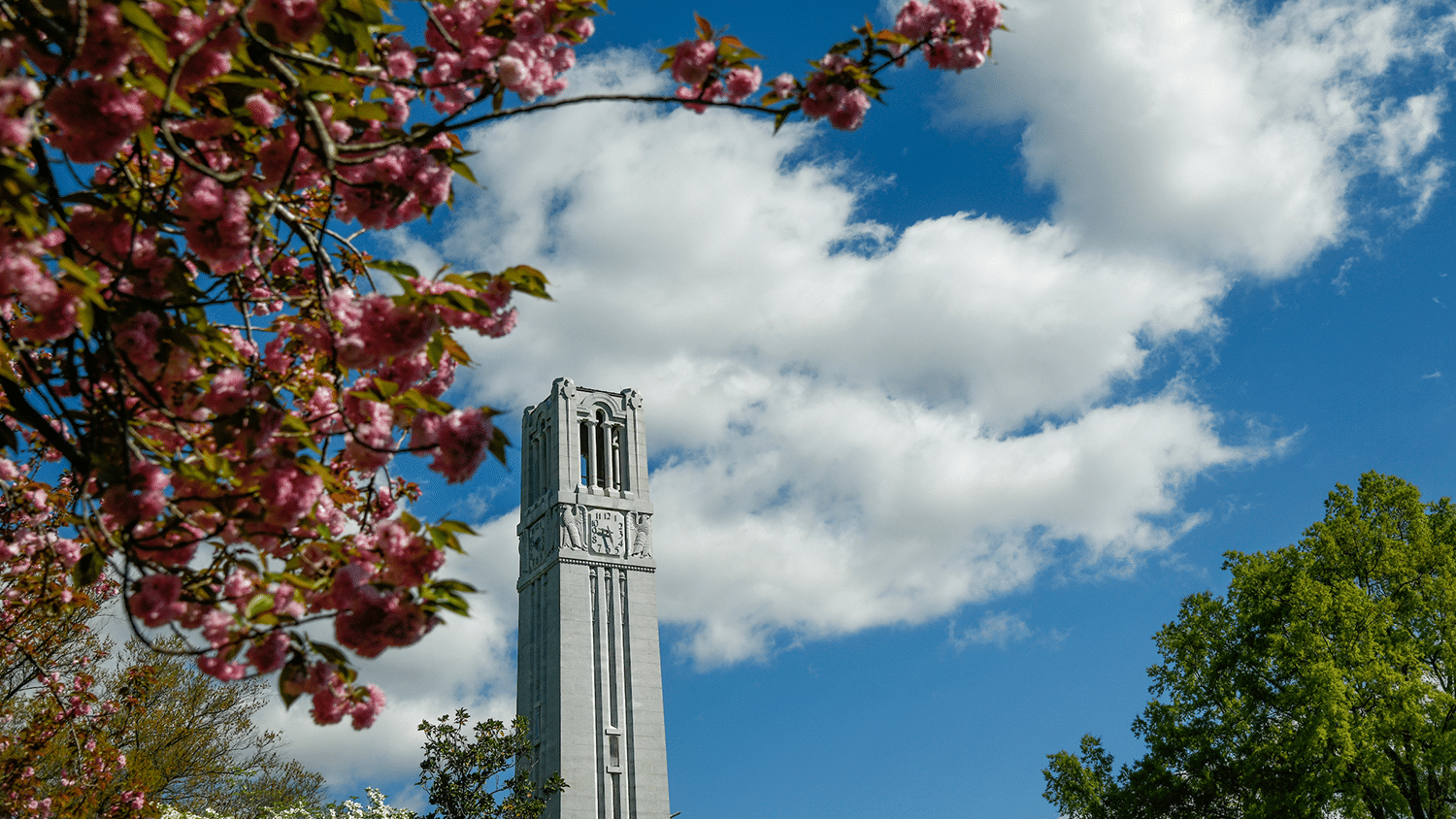 The belltower through a branch with clouds