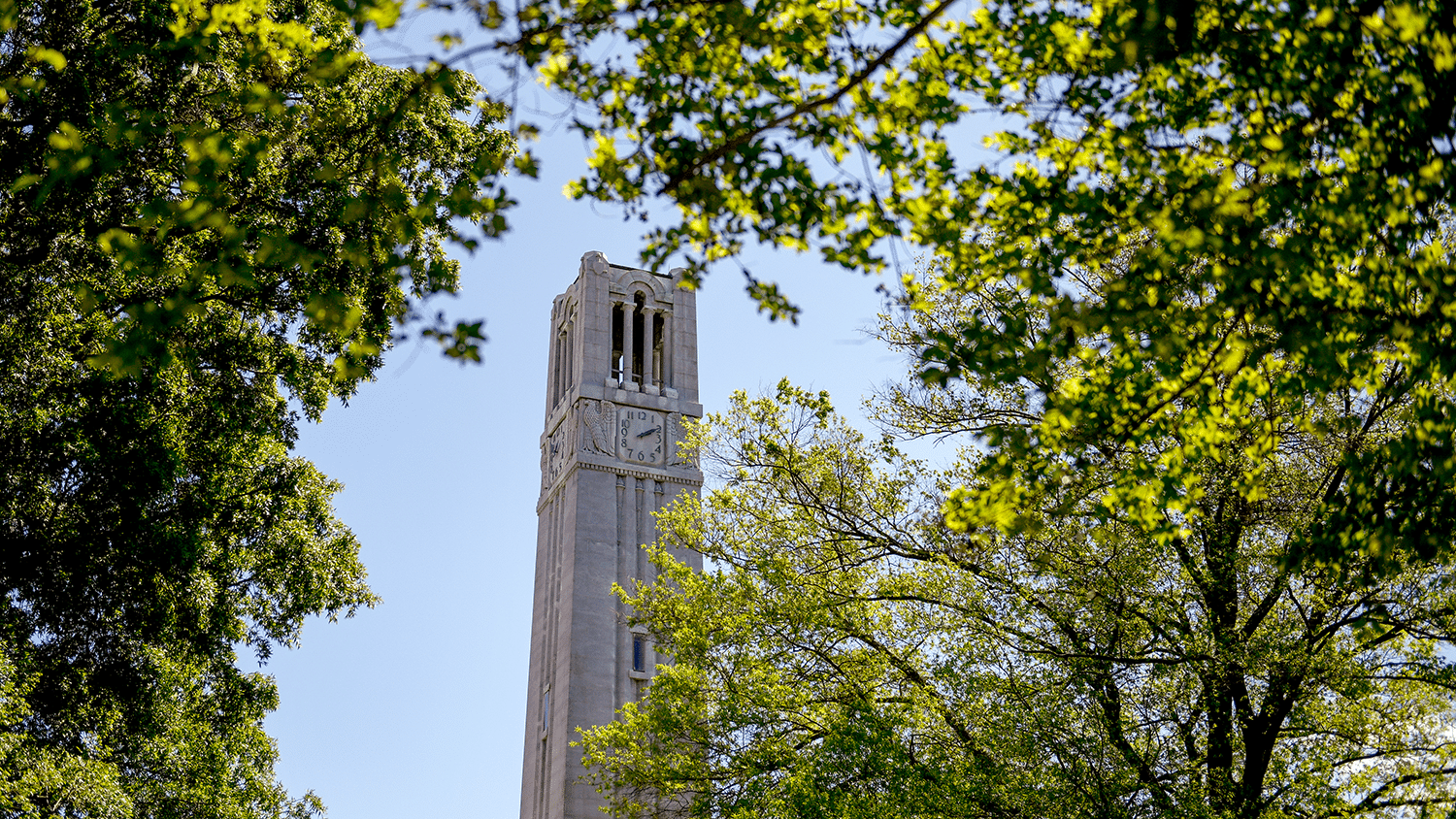 The Belltower surrounded by lush greenery in summer.