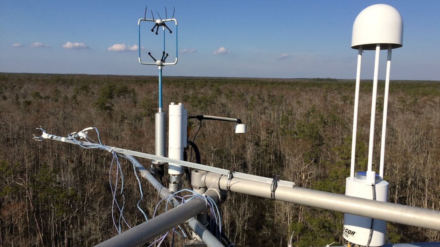 Meteorological sensors above a forest.