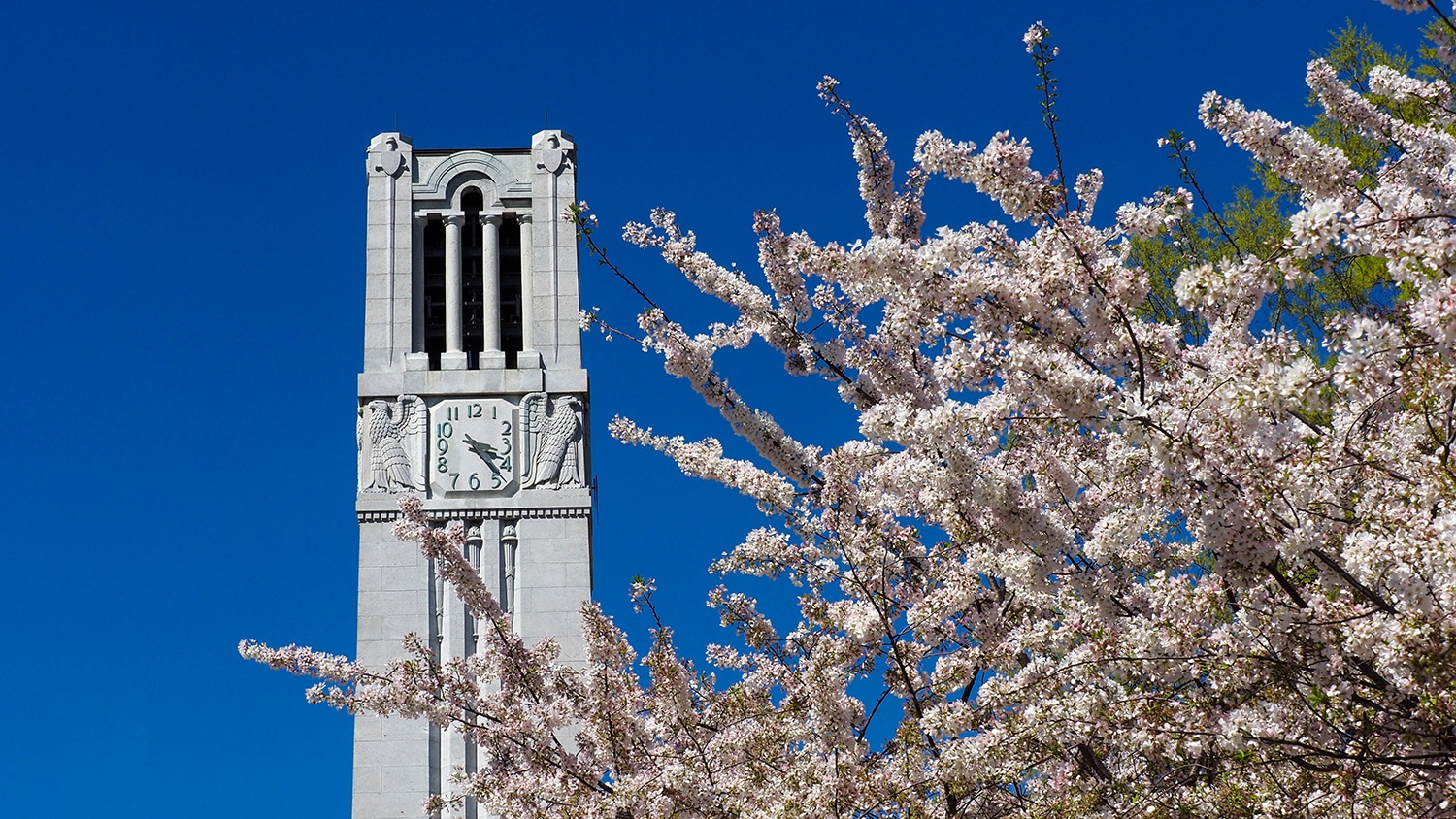 Memorial Belltower