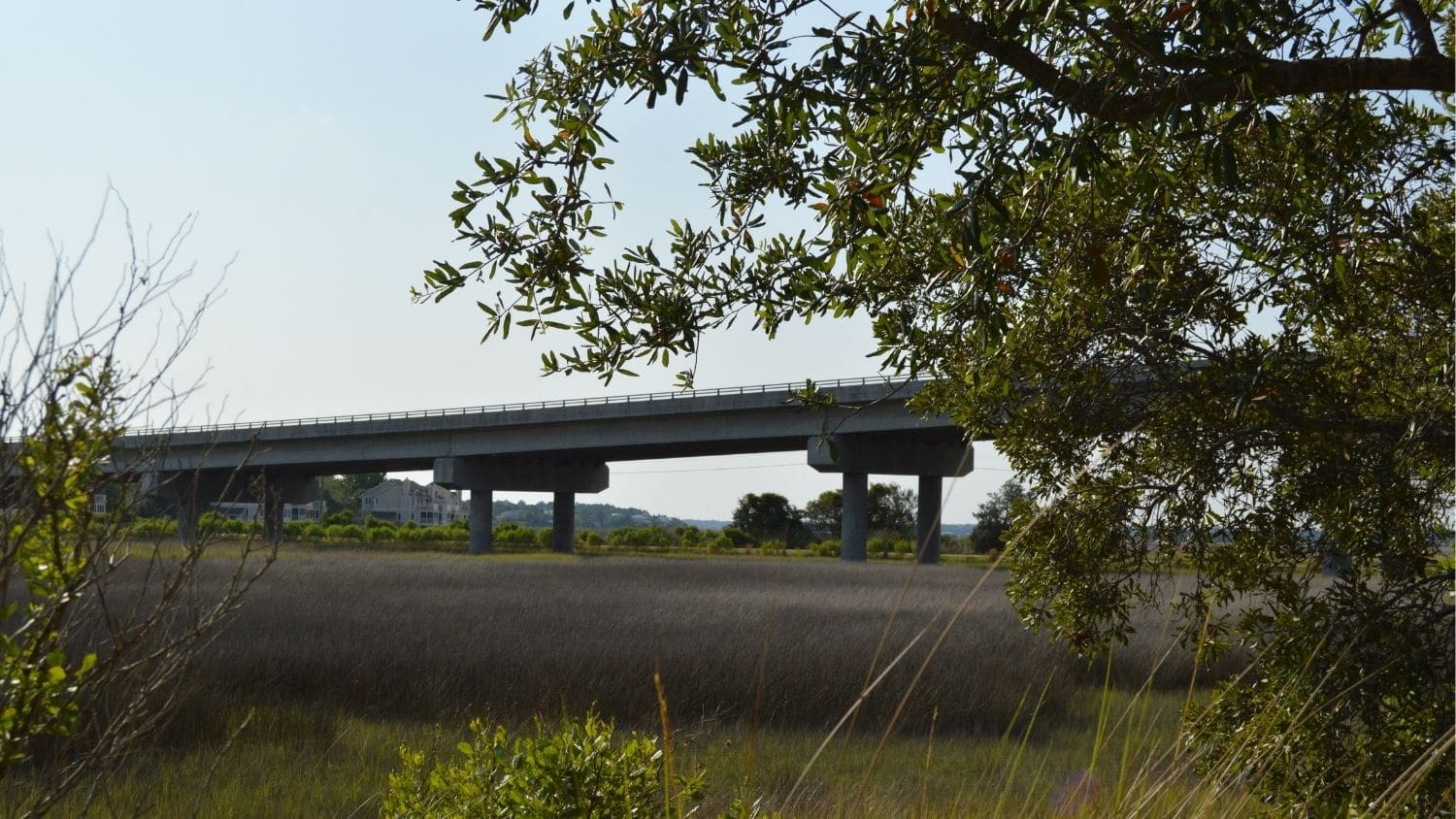 Coastal marshes on Johns Island. Credit: Lindsey Smart.