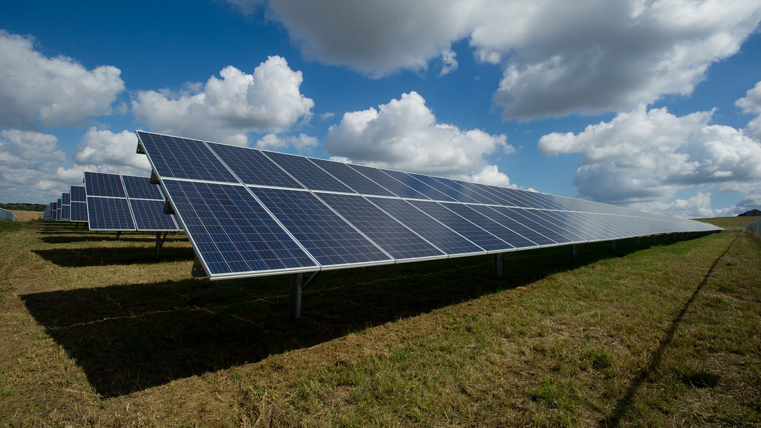 solar farm