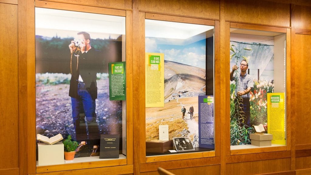 Display cases from library exhibit featuring life-size photos of Raulston in the field.