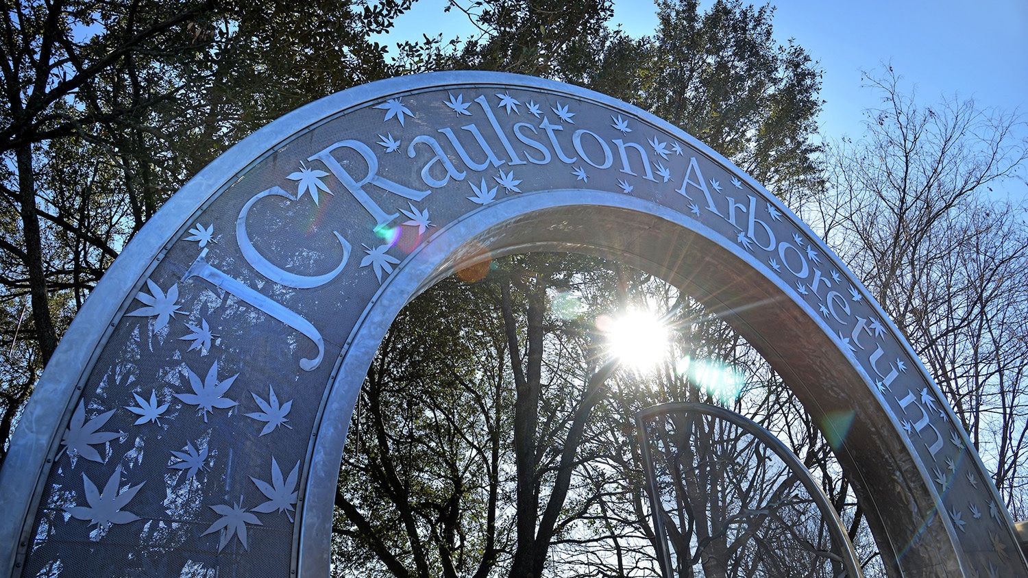 Silver gate to Raulston Arboretum, decorated with Japanese maple leaves.