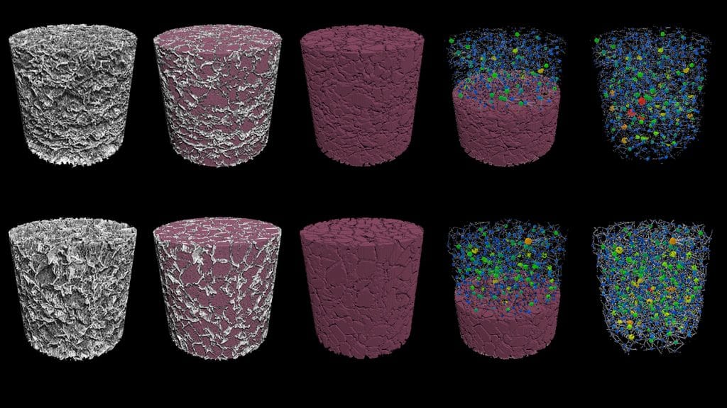 Digital renderings of the Brudno lab's CAR-T cell scaffolds.