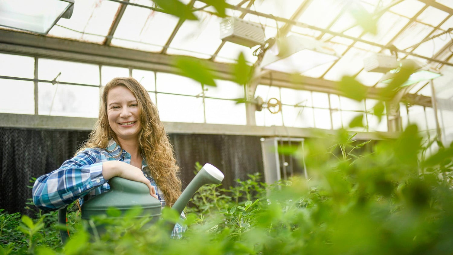 A student smiles from a greenhouse full of peanut plants.