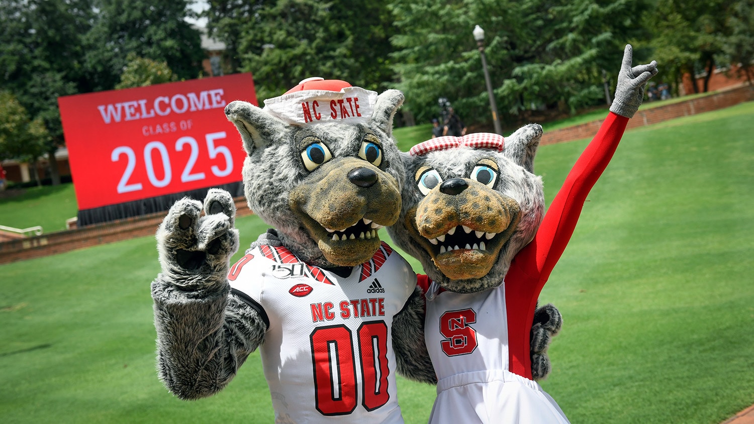 Meet the Class By the Numbers NC State News