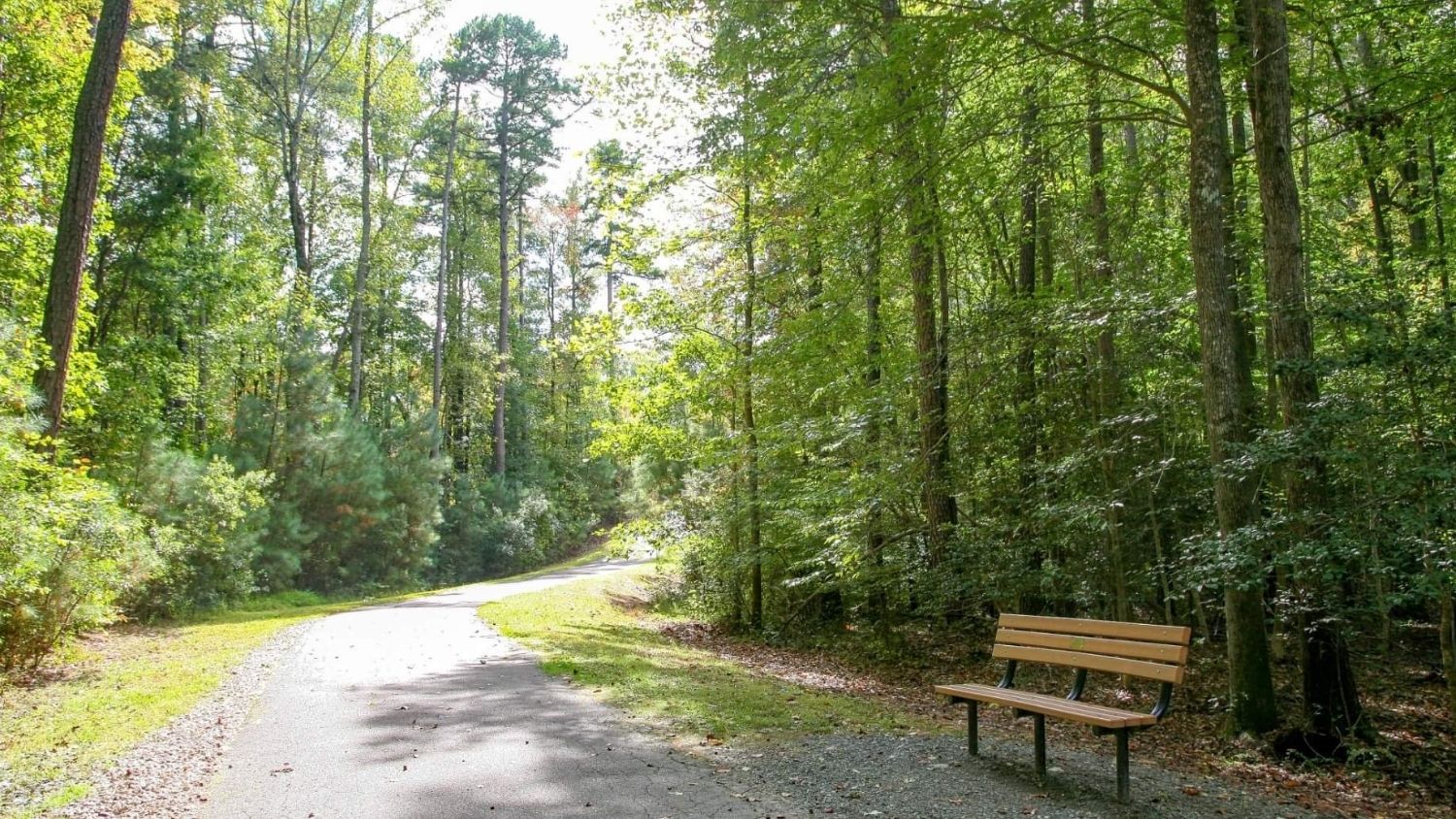 A park in Raleigh, North Carolina.