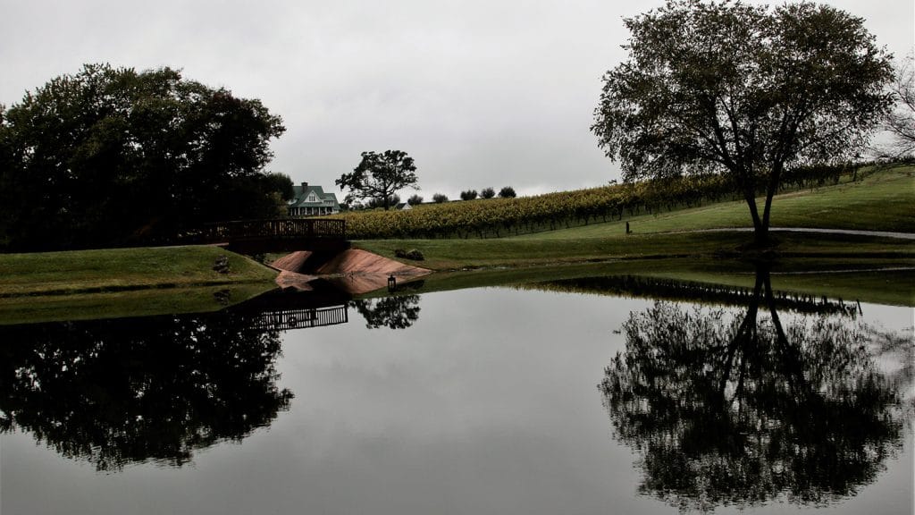 A lake at the Shelton Vineyards with trees reflecting on the serene waters.