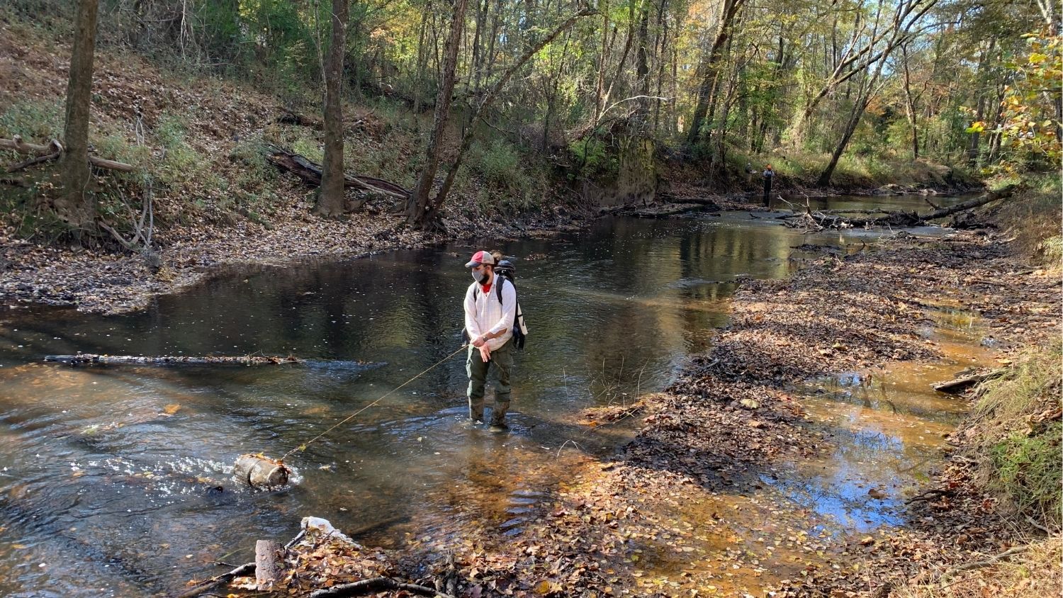 Researchers look for the Neuse River waterdog