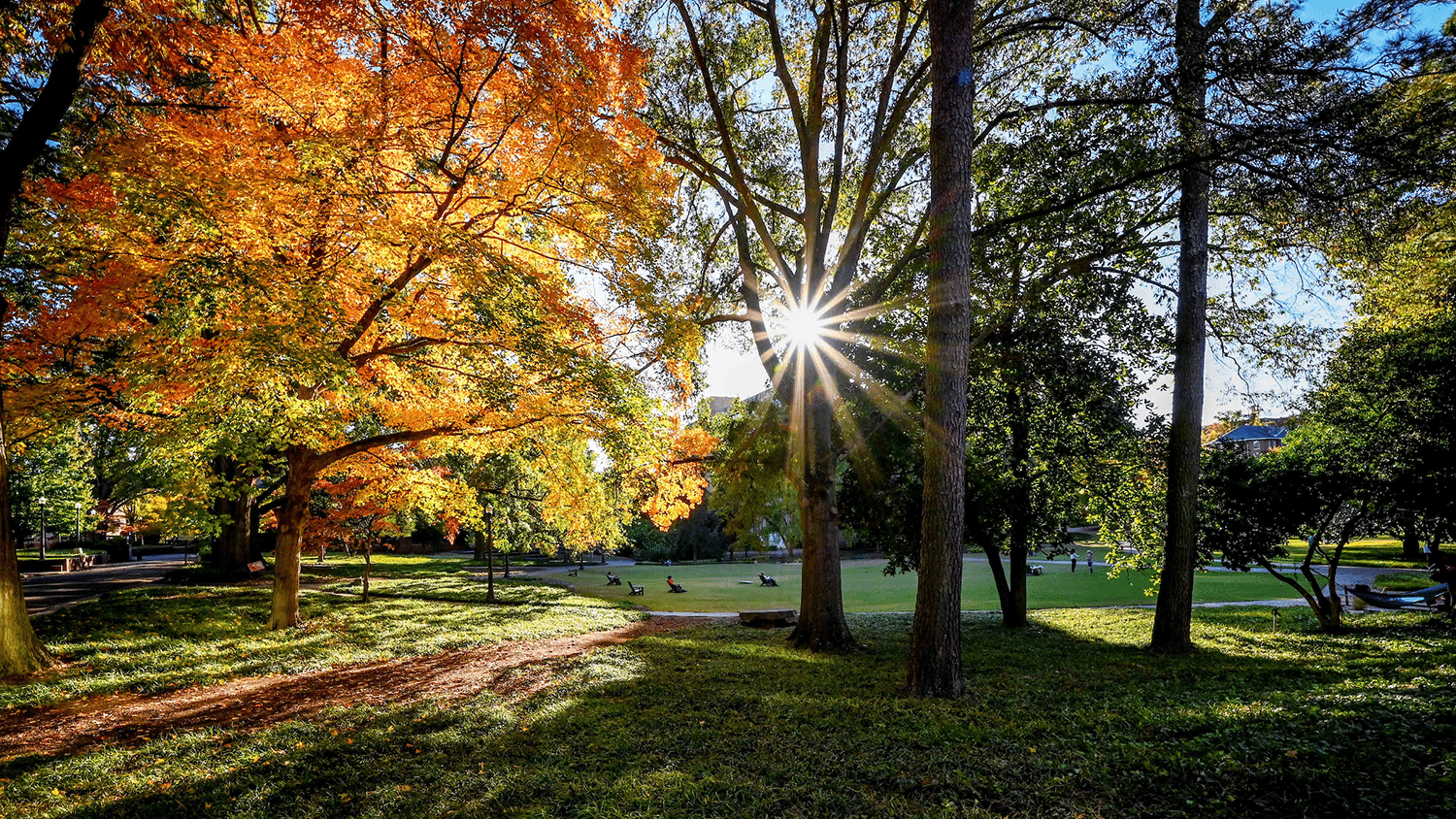 The sun shines through the trees on the Court of North Carolina on a fall day.