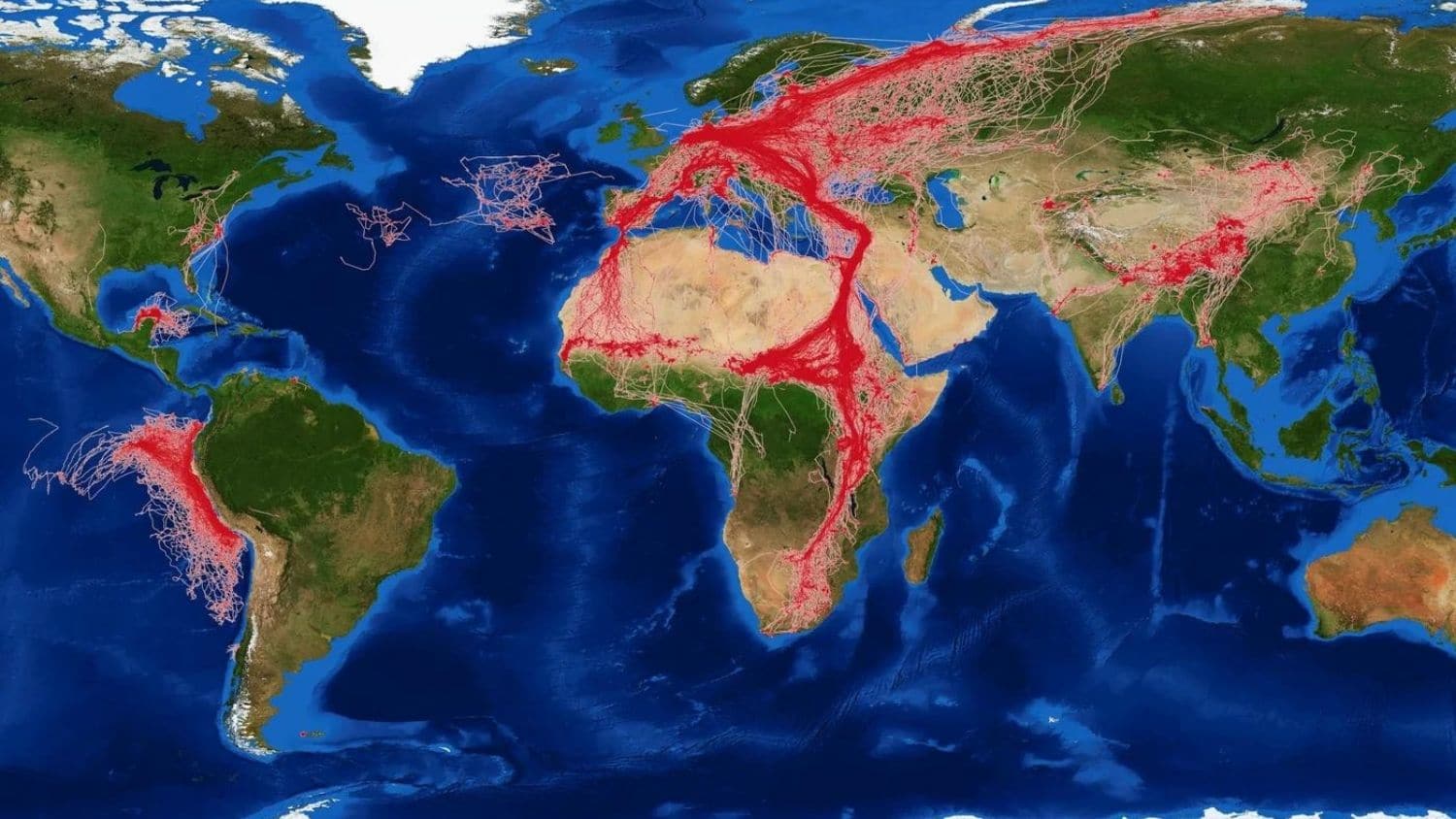 world map with red lines along w. coast of s. america, across europe, in Asia, and from the middle east south toward south africa