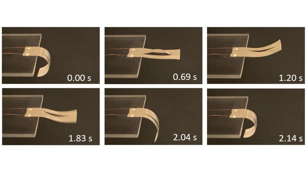 six still images show how a strip of material moves in response to changing temperatures