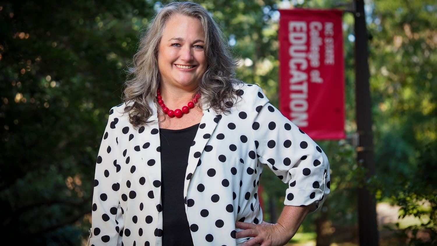 Nc State Distinguished Education Professor Hollylynne Lee Receives