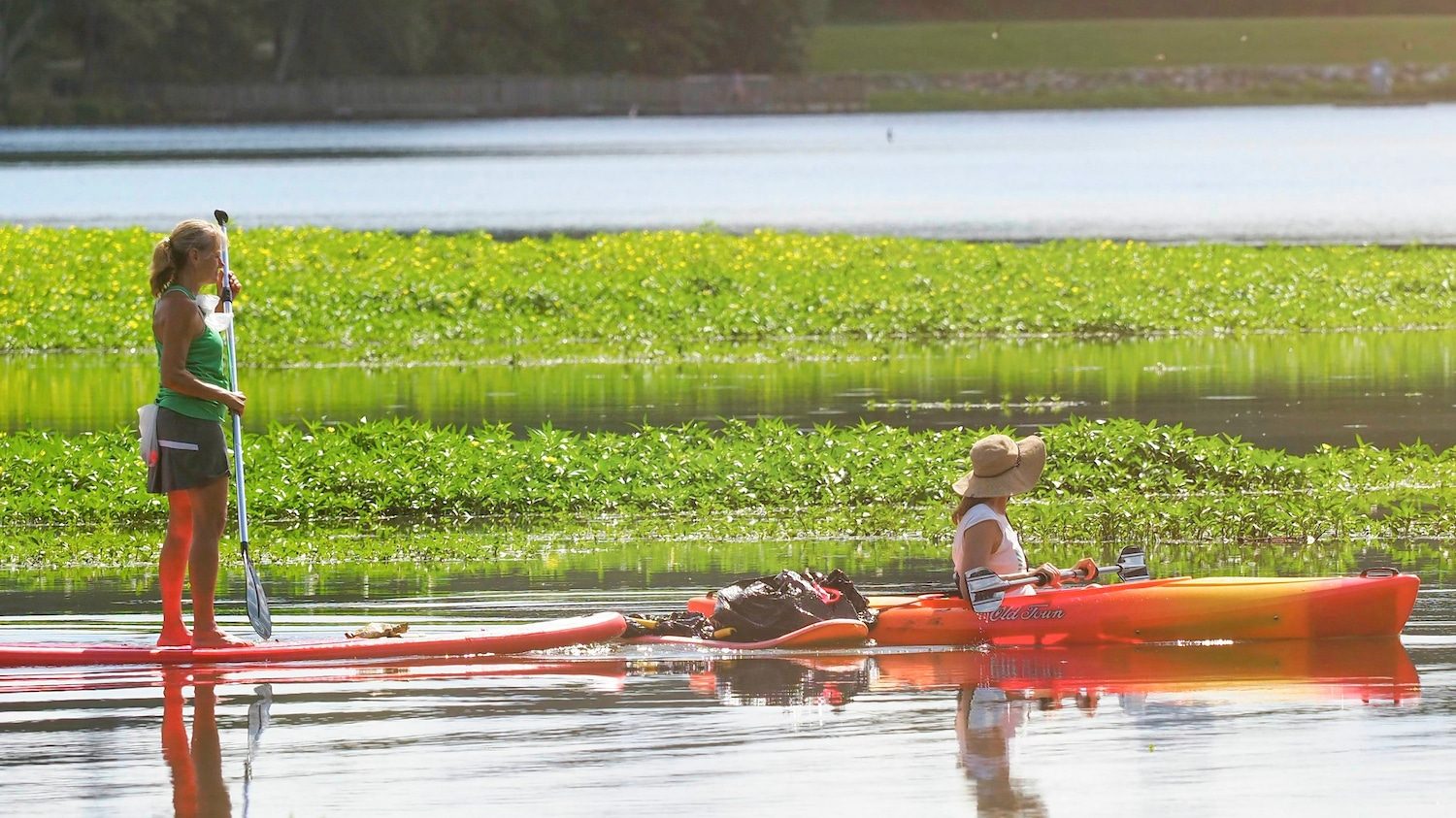 A kayaker and a stand up paddler enjoy Lake Raleigh on a summer day.