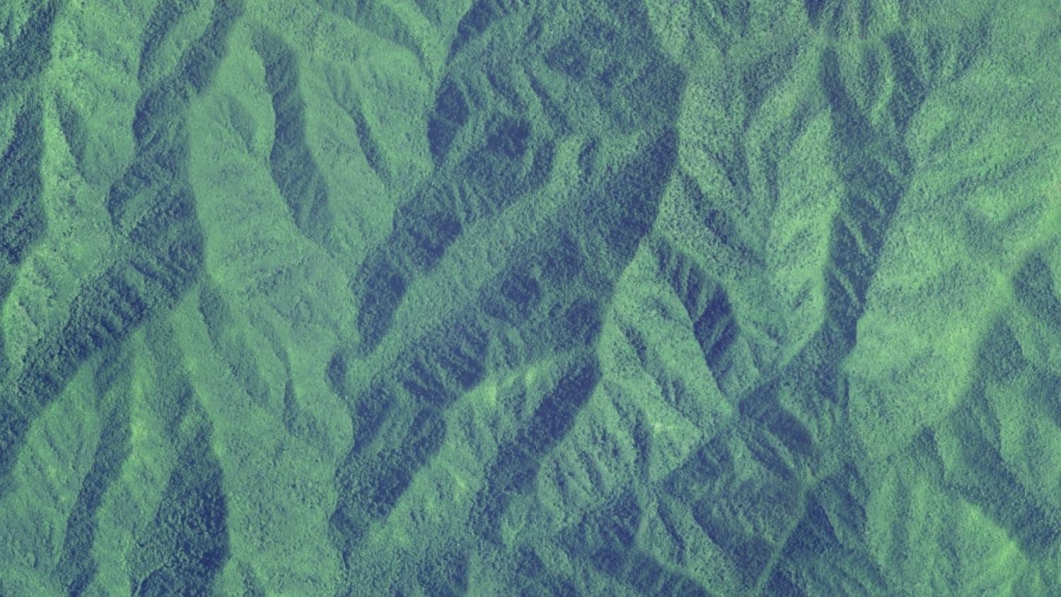 The image shows the peaks and valleys of mountain forests