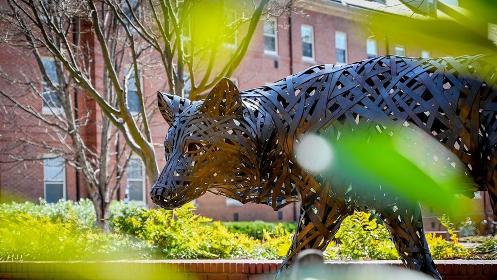 copper wolf on NC State's campus