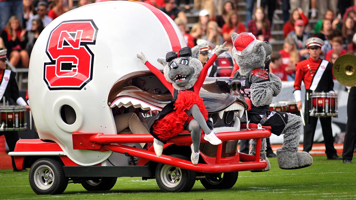Mr. and Ms. Wuf on a cart decorated with a giant Wolfpack helmet.