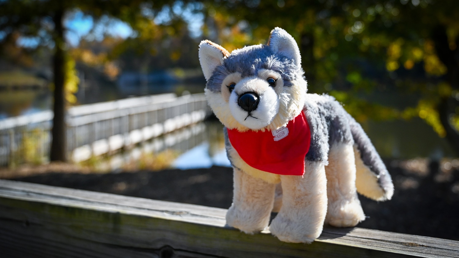 plush wolf with NC State bandana around its neck