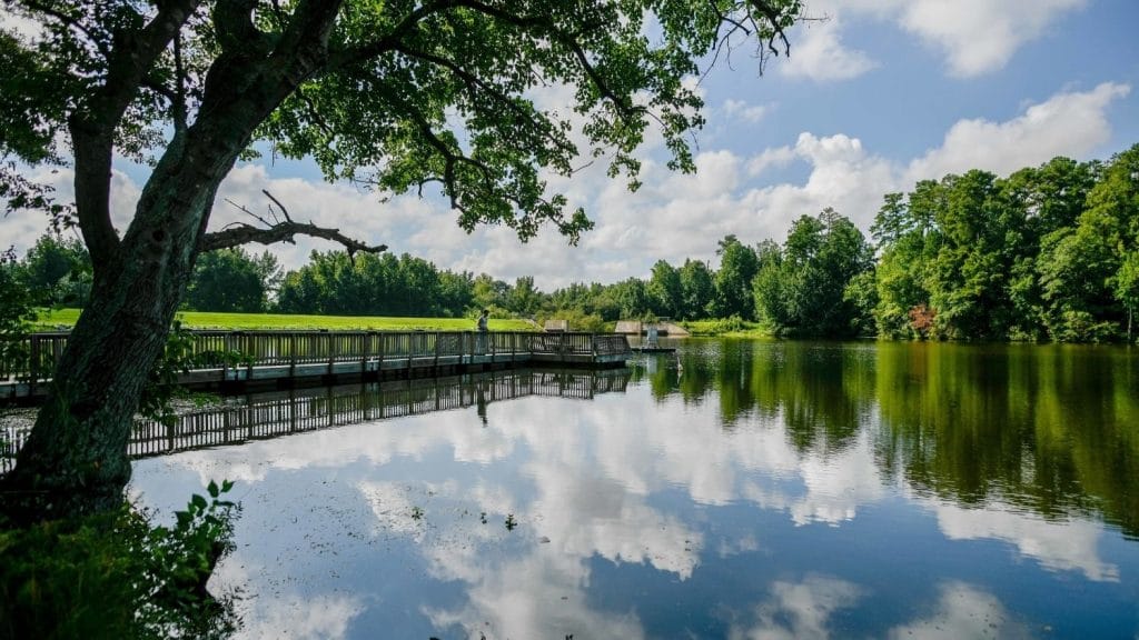 Lake Raleigh, blue sky and clouds reflecting on lake, boat ramp on left, tree overhanging lake