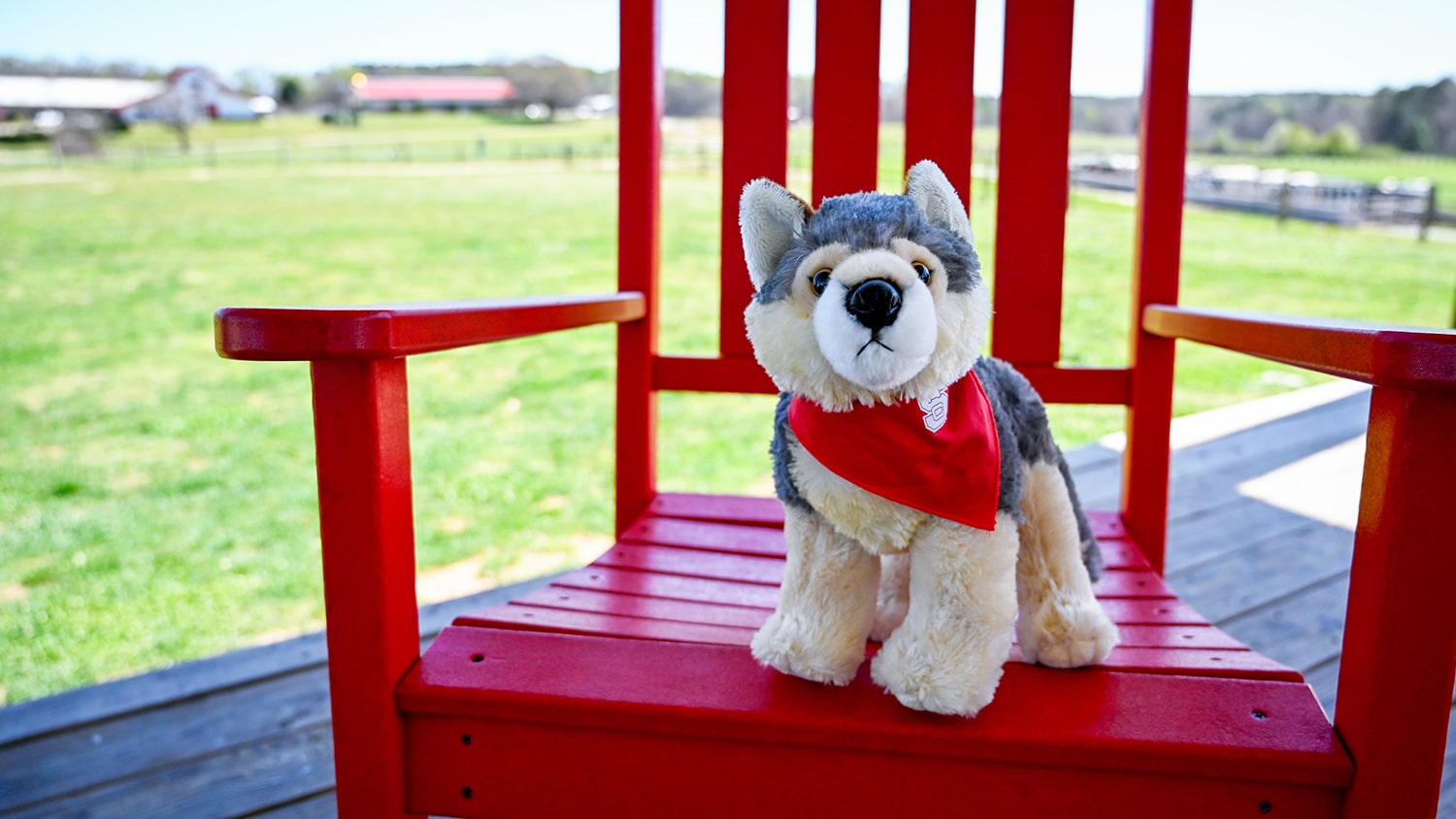 plush wolf with NC State bandana around its neck