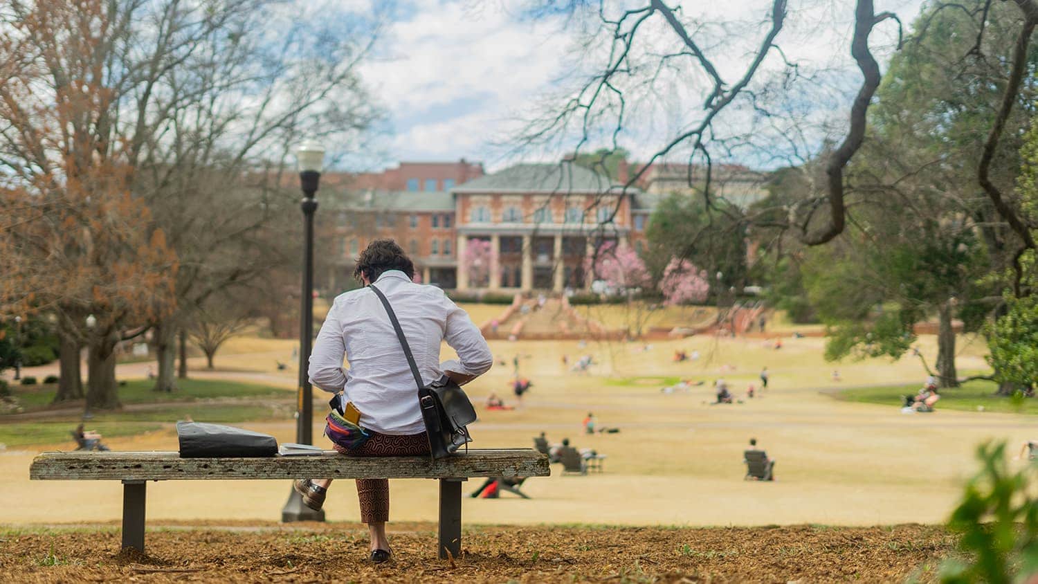 A person sits on a bench near the Court of North Carolina in spring.