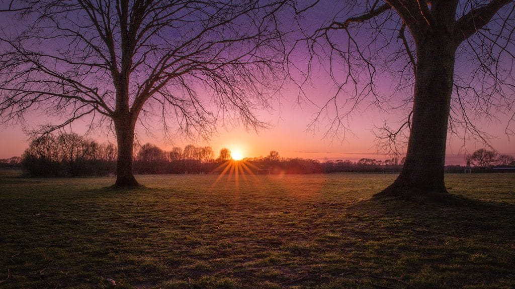 Sunrise over a field in Kent.