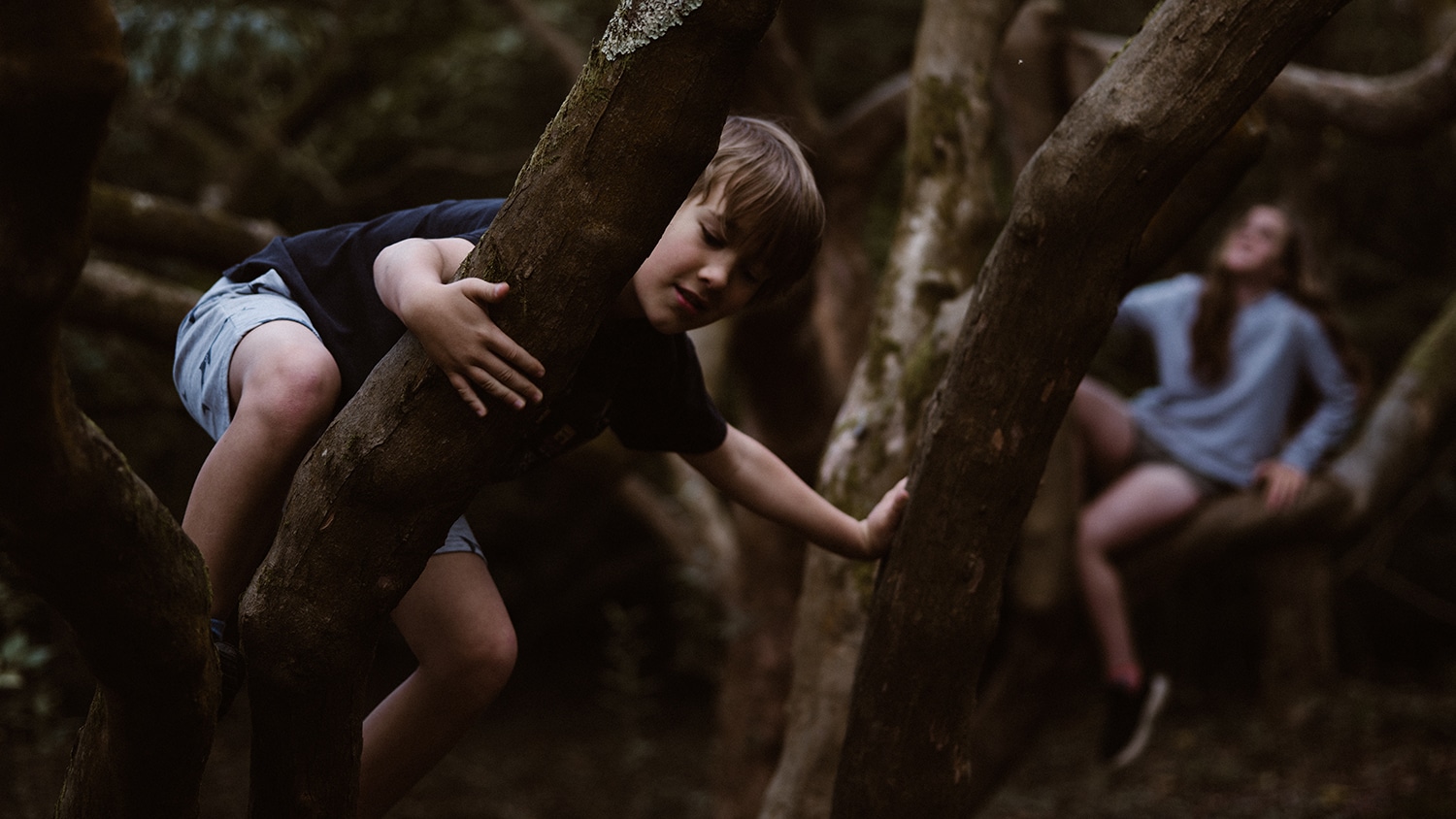 Children climbing on a tree.