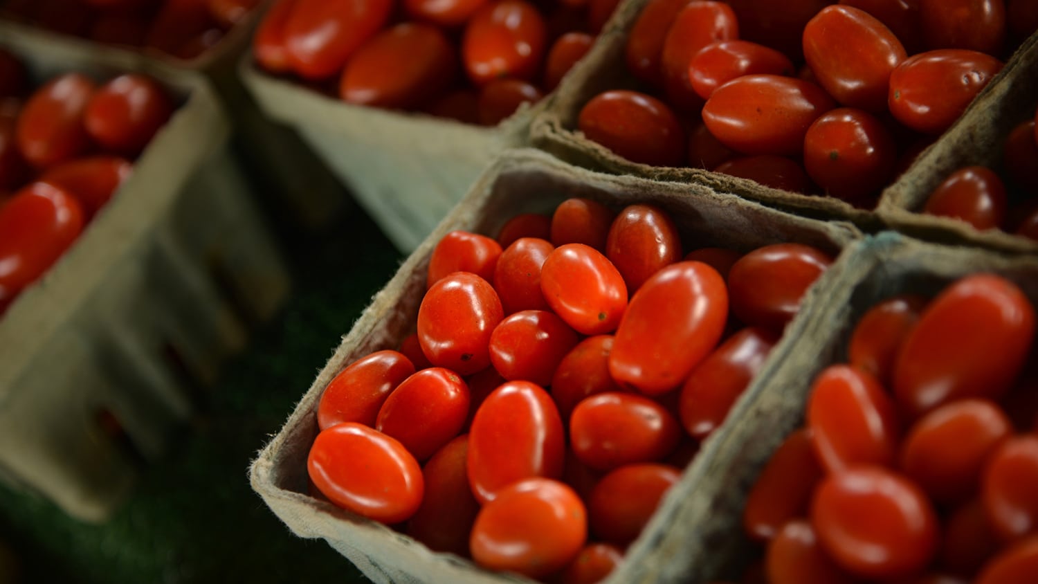 Cherry tomatoes for sale at the North Carolina State Farmer's Market in the Fall.