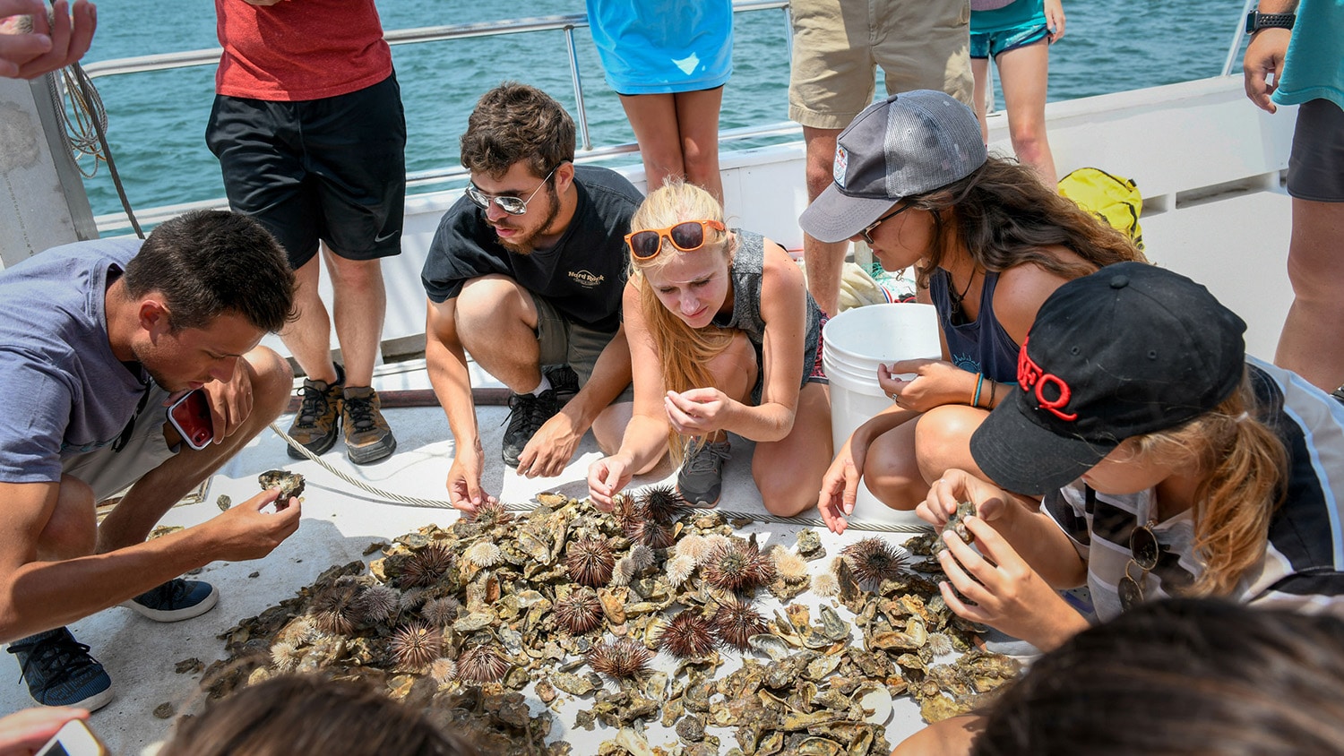 Students examine marine animals on the deck of a boat.