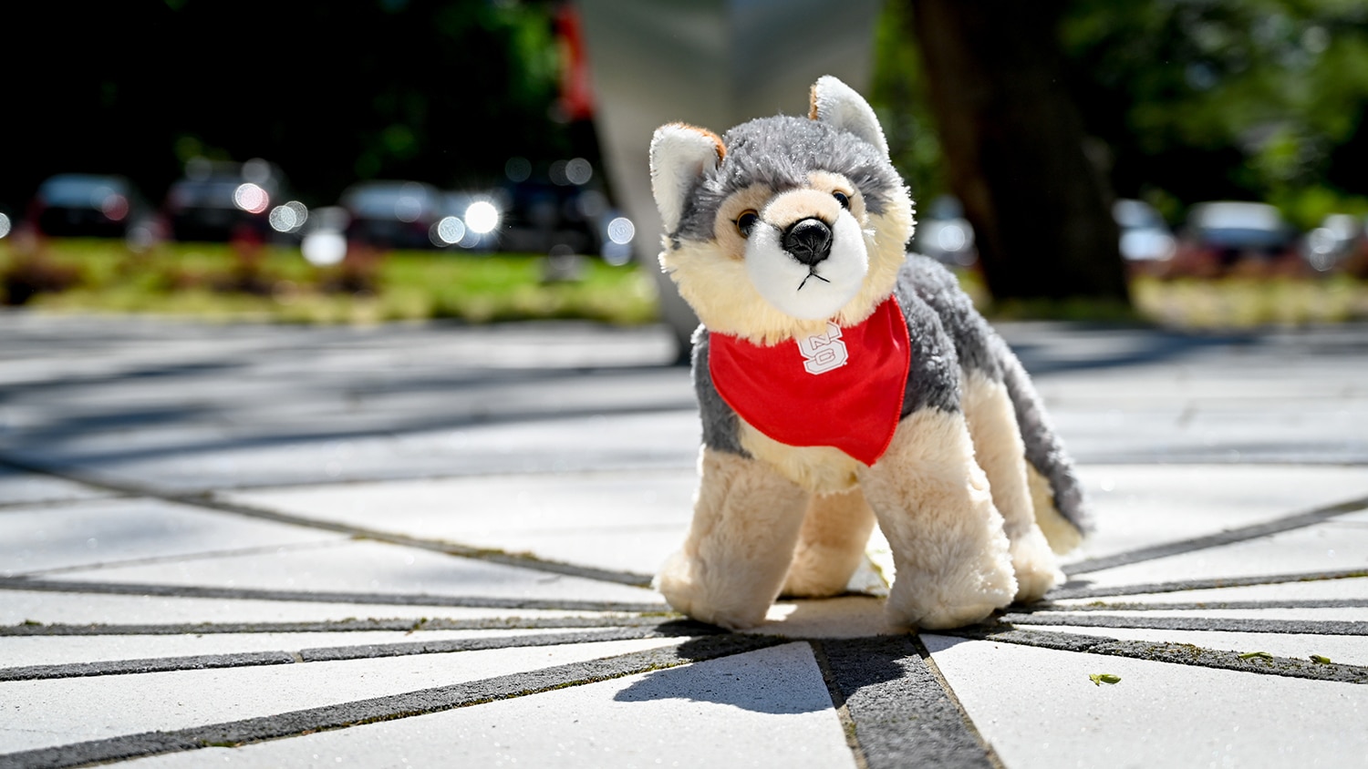 plush wolf with NC State bandana around its neck