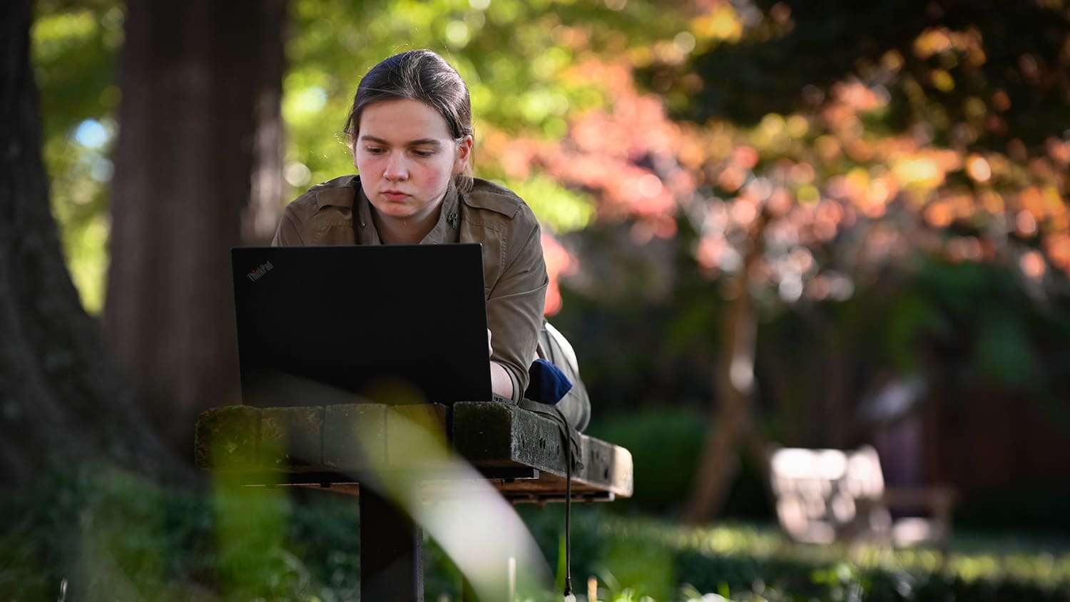 A female student does schoolwork outside on a bench under the shade of a tree. 