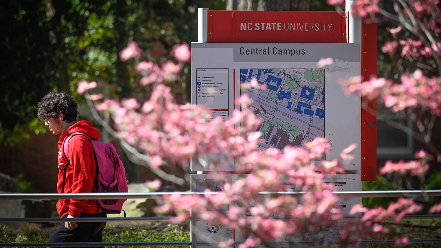 A student walks on main campus near Wolf Plaza during the spring.